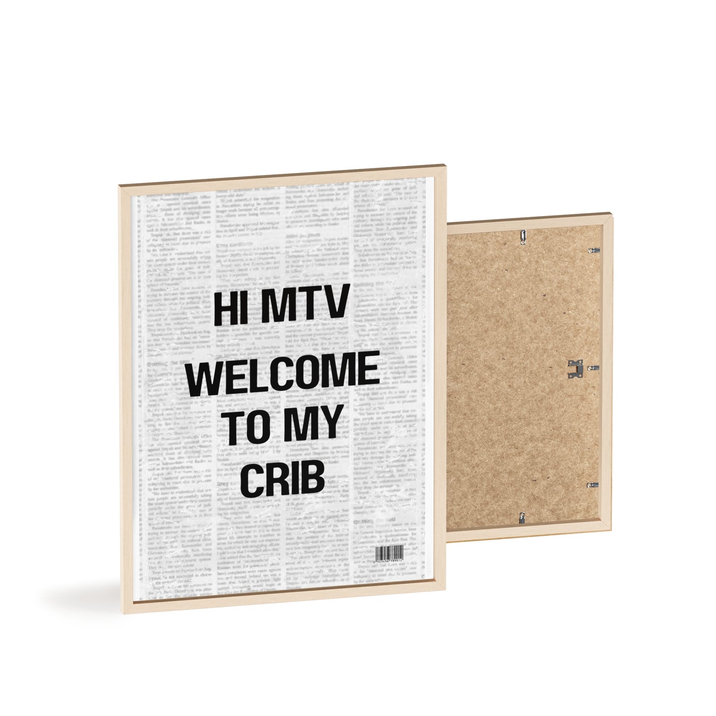 Hi MTV, Welcome to my Crib - Frame