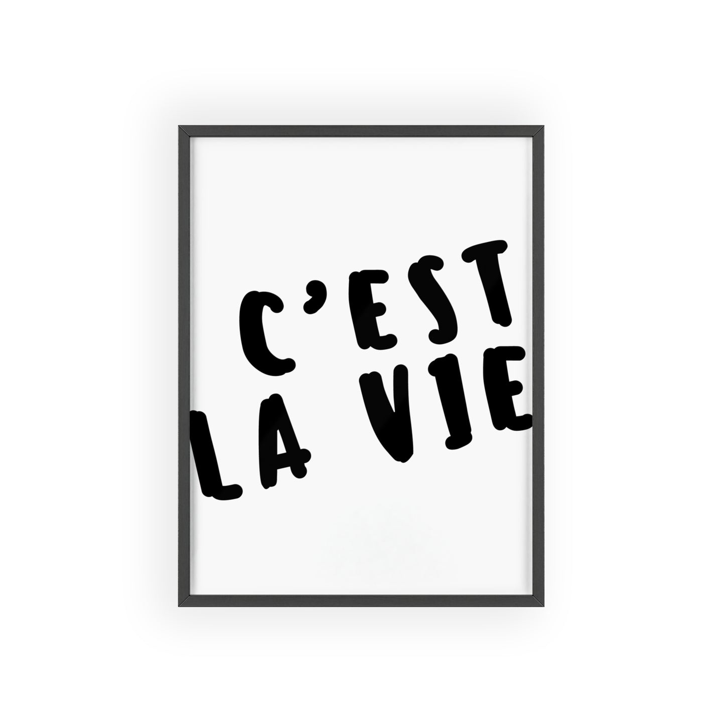 C'est la Vie ( Monochrome ) - Frame