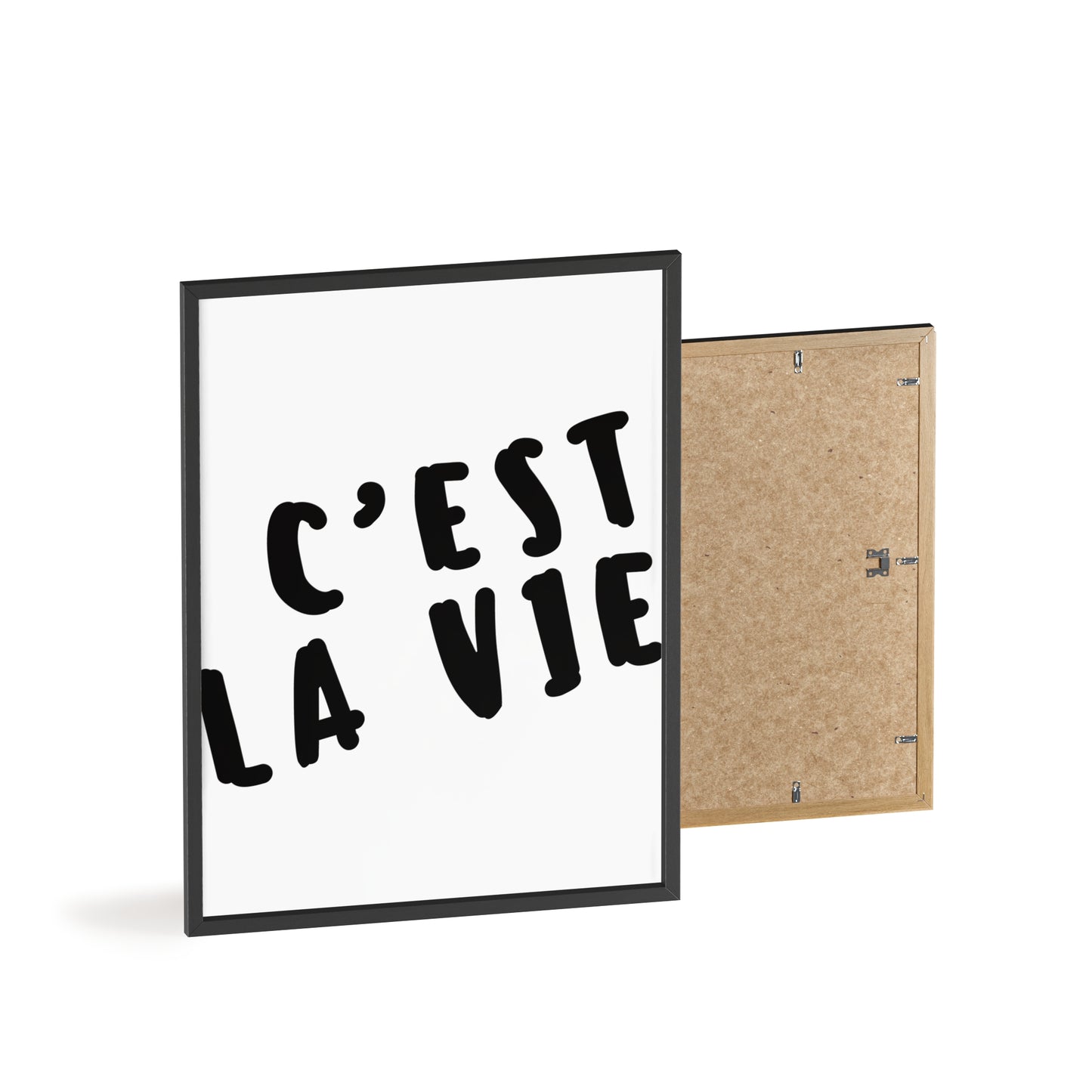 C'est la Vie ( Monochrome ) - Frame