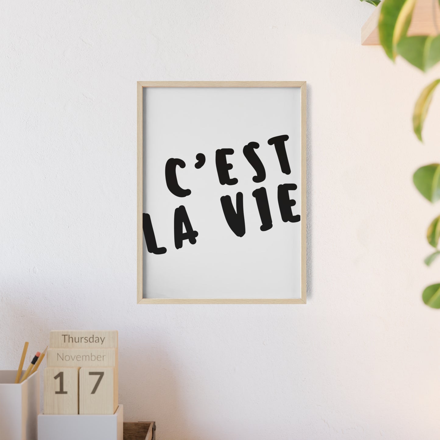 C'est la Vie ( Monochrome ) - Frame