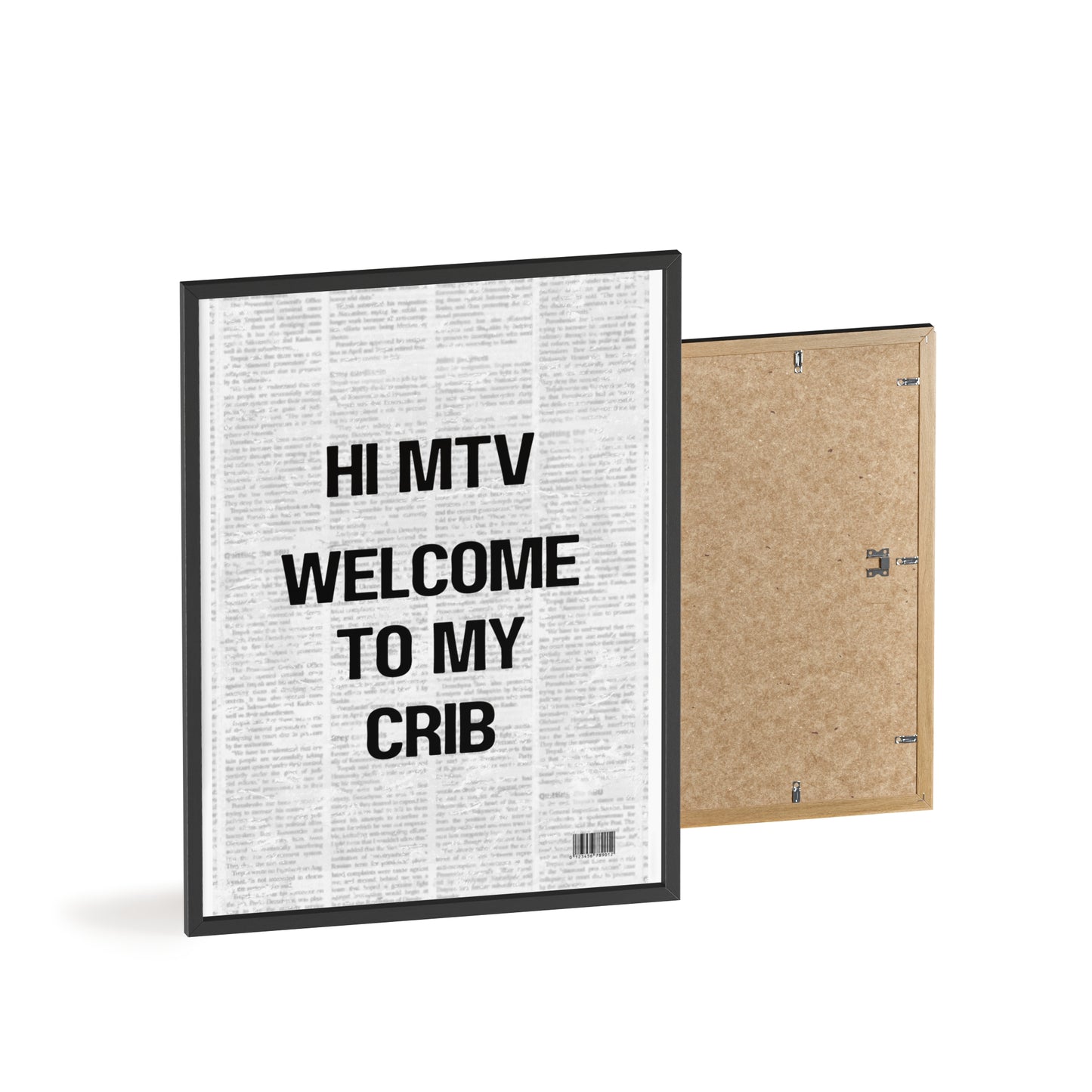 Hi MTV, Welcome to my Crib - Frame