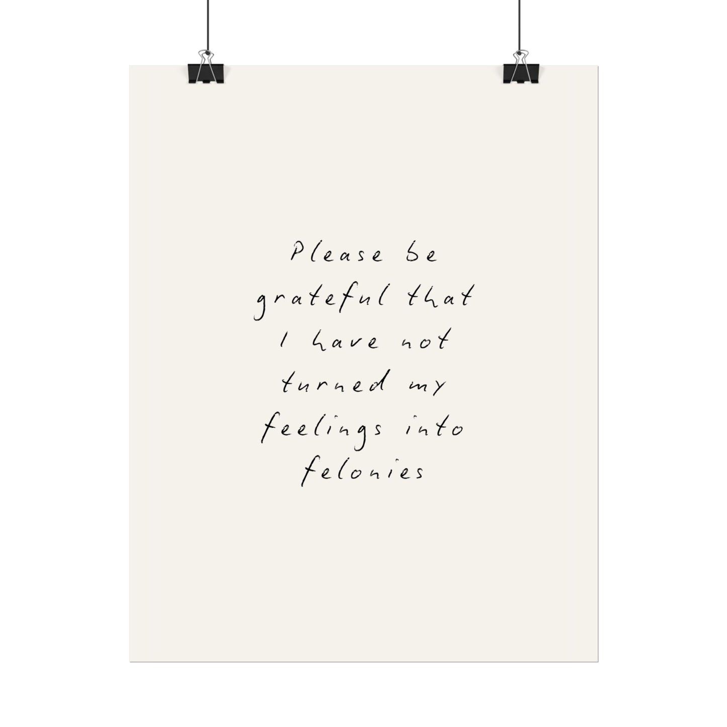 Please Be Grateful That I Have Not Turned My Feelings Into Felonies - Poster