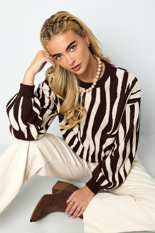 Zebra Stripe Chic Sweater